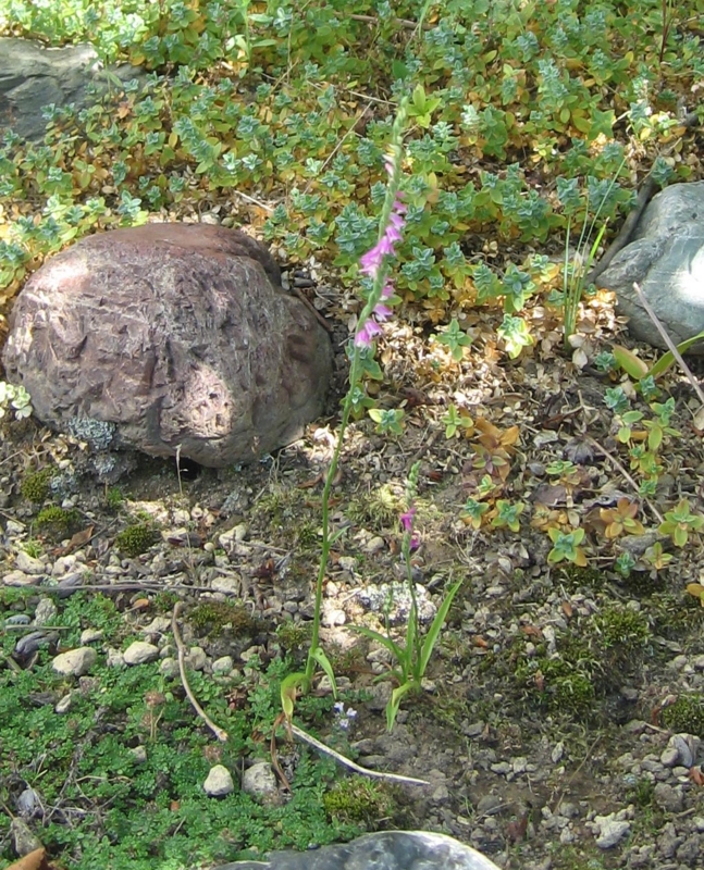 f:id:atarou:20120811200334j:image