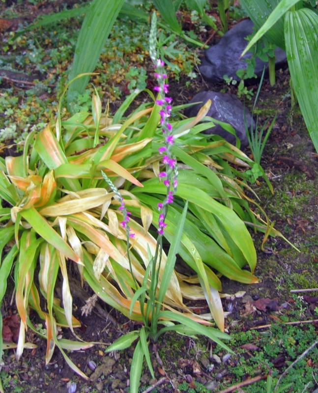 f:id:atarou:20120811201436j:image