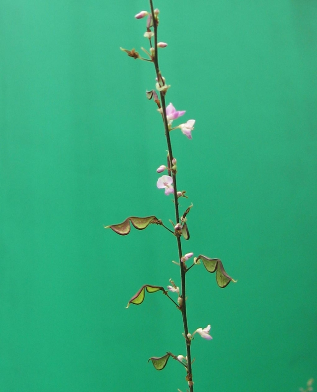 f:id:atarou:20120811201438j:image