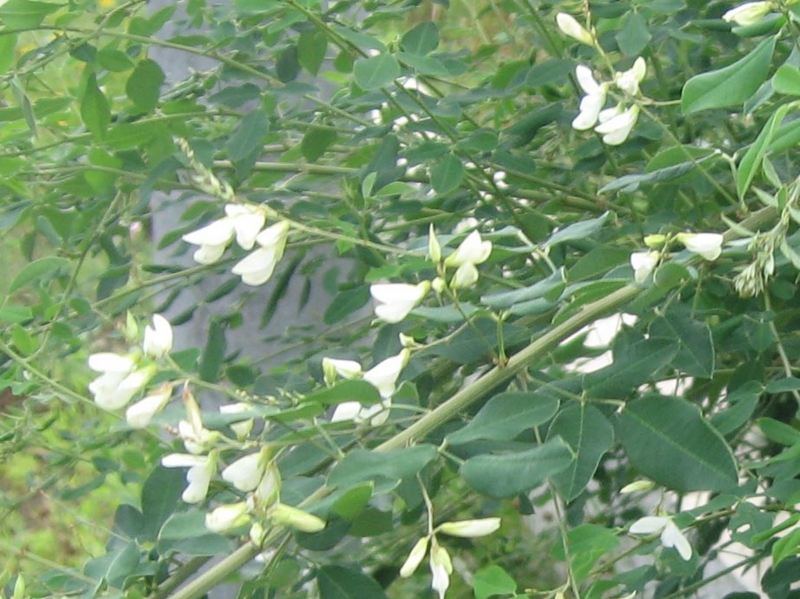 f:id:atarou:20120812071729j:image