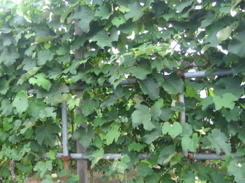 f:id:atarou:20120813064657j:image
