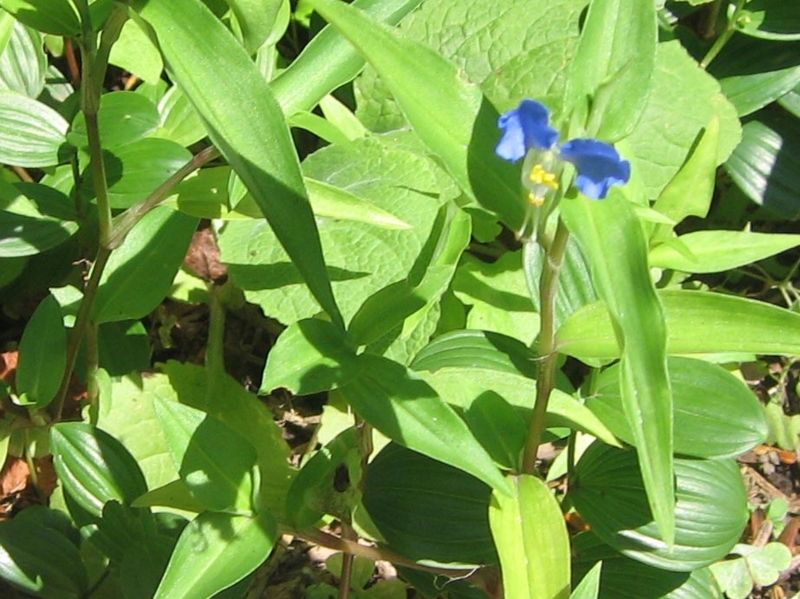 f:id:atarou:20120815061530j:image