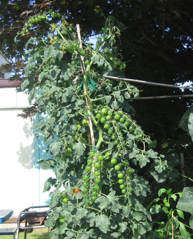 f:id:atarou:20120815062338j:image