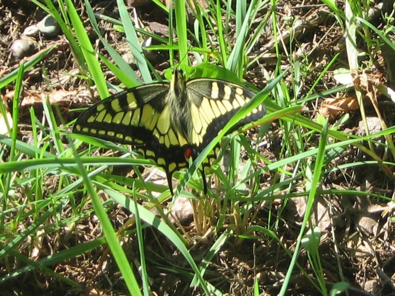 f:id:atarou:20120815065436j:image