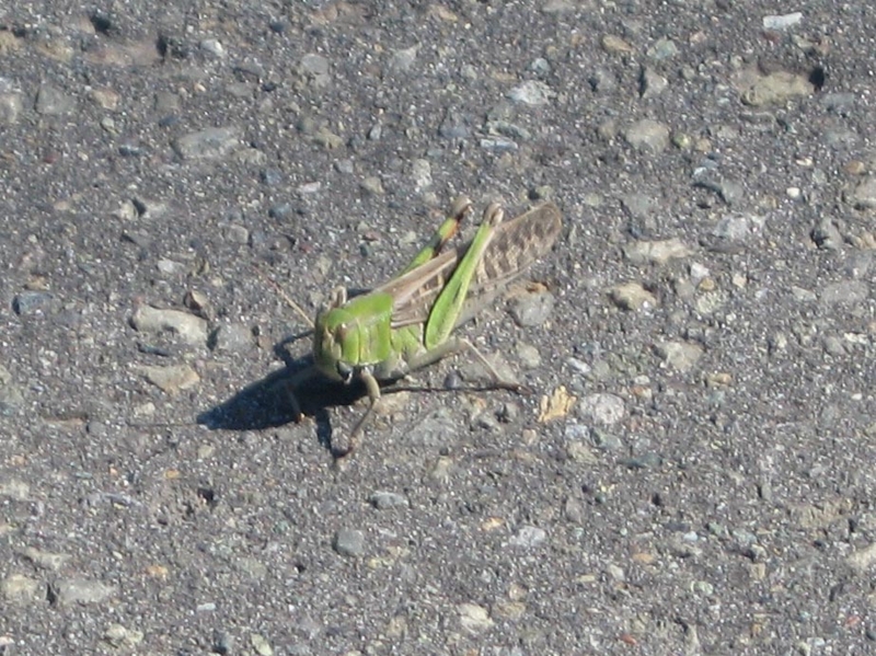 f:id:atarou:20120815065441j:image