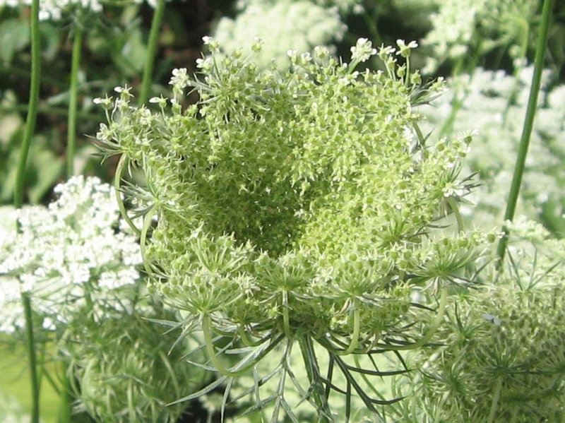 f:id:atarou:20120816064143j:image