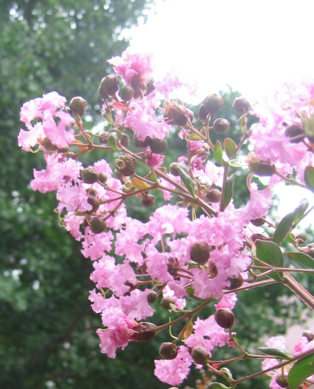 f:id:atarou:20120818060143j:image f:id:atarou:20120818060143j:image