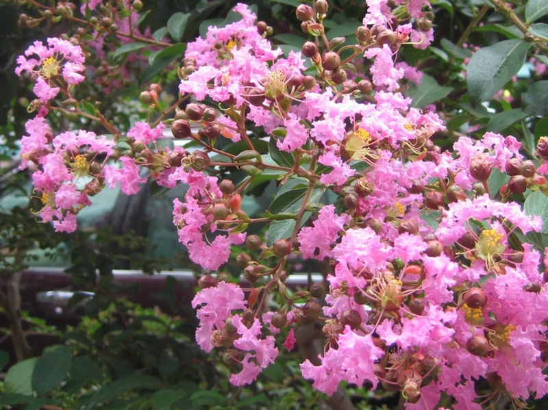 f:id:atarou:20120818061124j:image f:id:atarou:20120818061124j:image