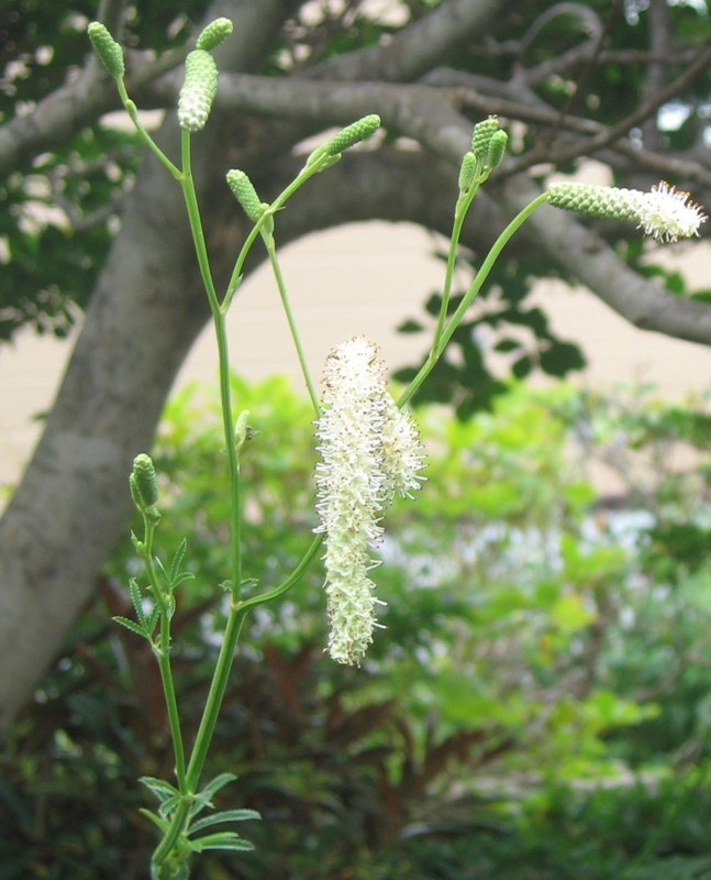f:id:atarou:20120820045951j:image