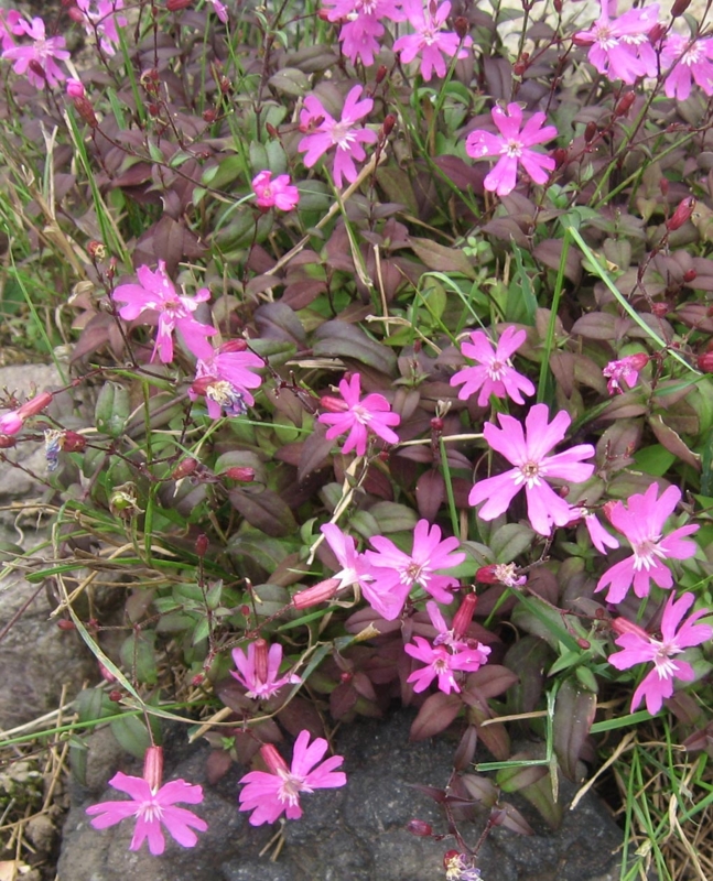 f:id:atarou:20120820053110j:image