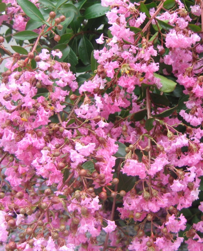 f:id:atarou:20120821061039j:image