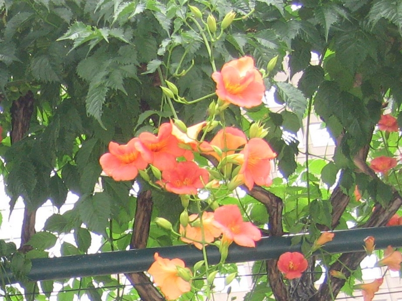 f:id:atarou:20120821061041j:image