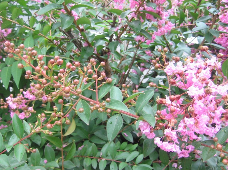 f:id:atarou:20120821061351j:image