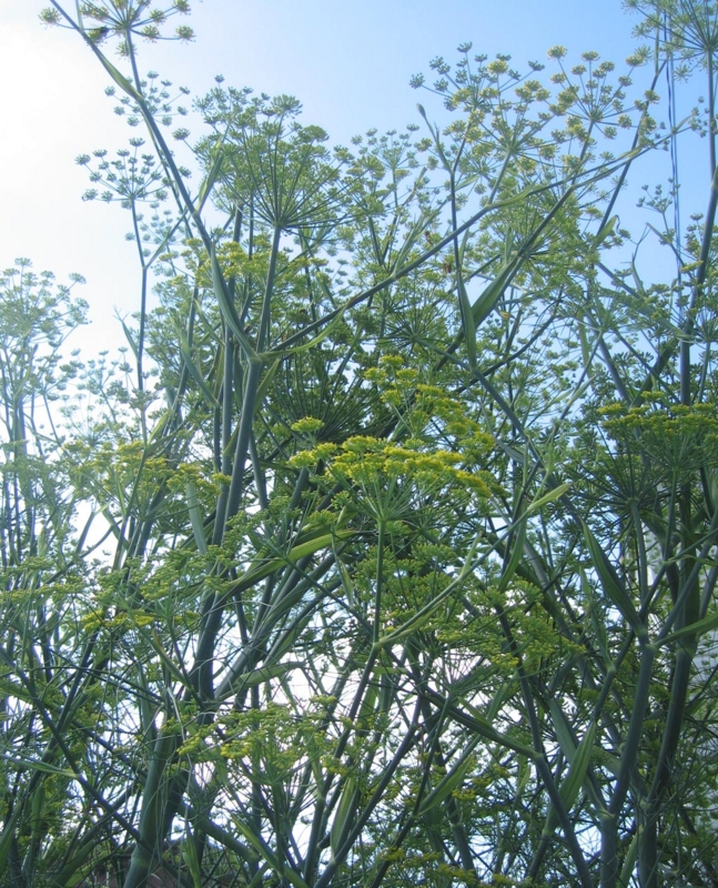 f:id:atarou:20120822061836j:image