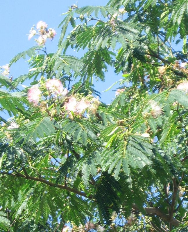 f:id:atarou:20120823054952j:image