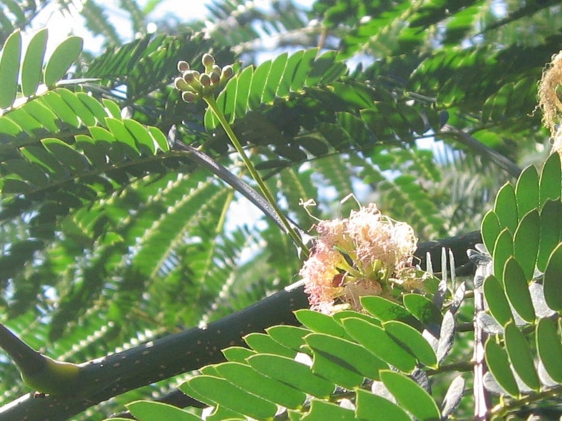 f:id:atarou:20120823063239j:image