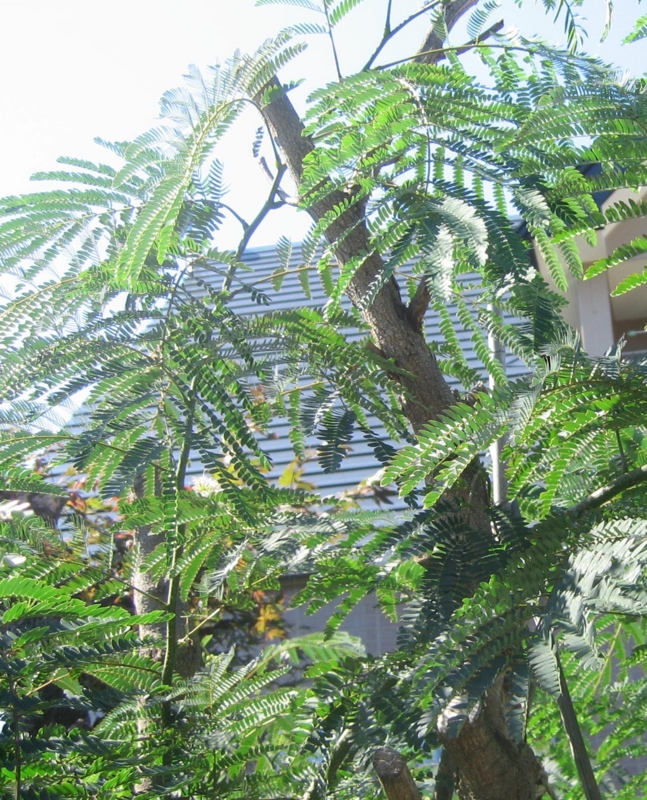 f:id:atarou:20120823063241j:image