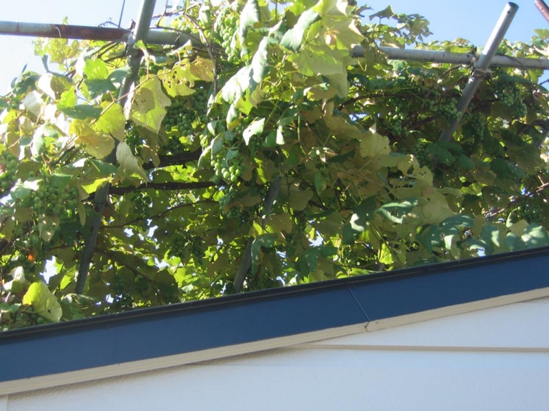 f:id:atarou:20120823064123j:image