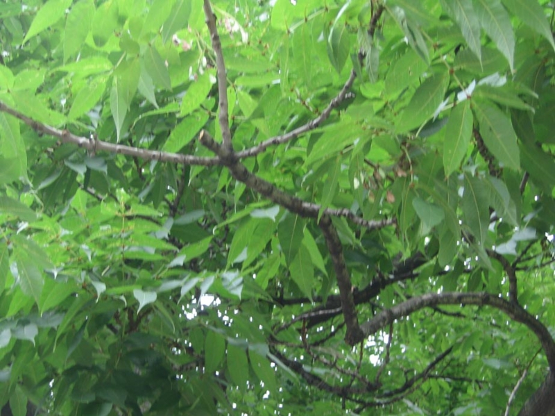 f:id:atarou:20120825063222j:image