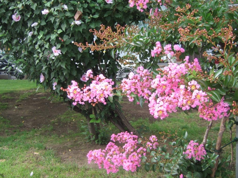 f:id:atarou:20120825064748j:image