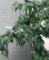20120827070109