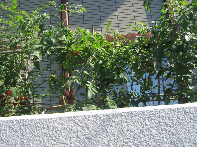f:id:atarou:20120828061329j:image