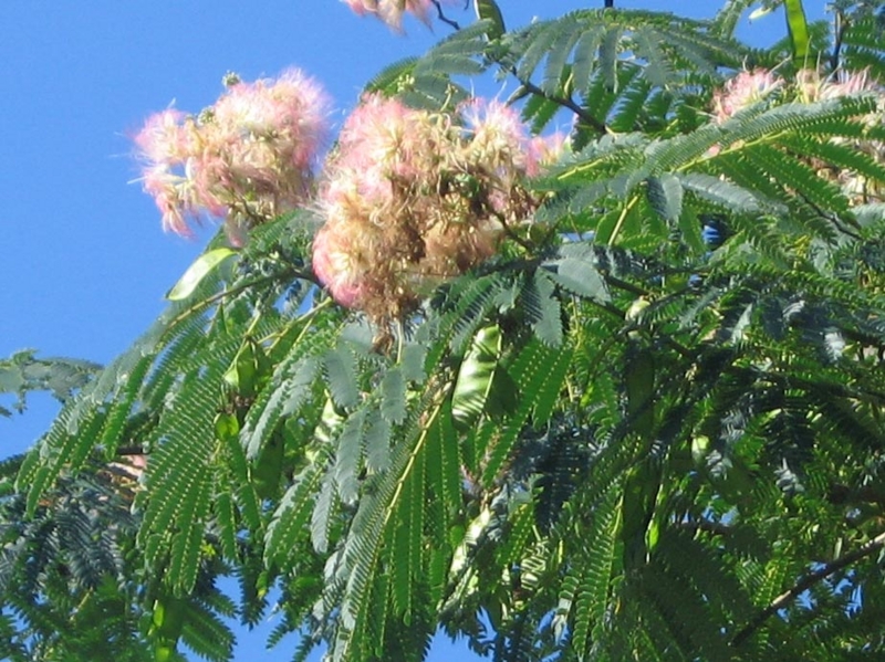 f:id:atarou:20120828061331j:image
