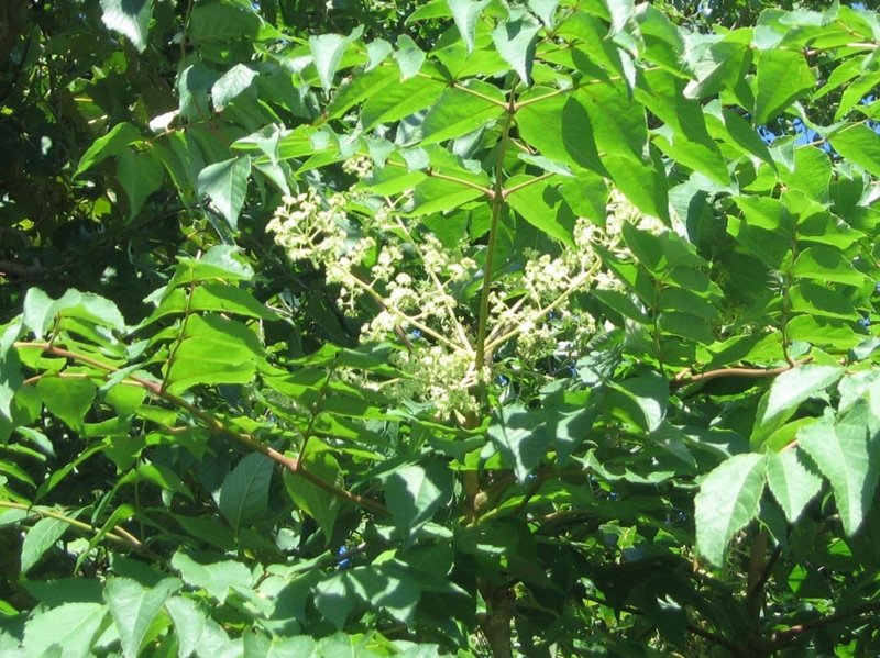 f:id:atarou:20120828062550j:image