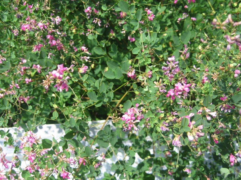 f:id:atarou:20120829064009j:image