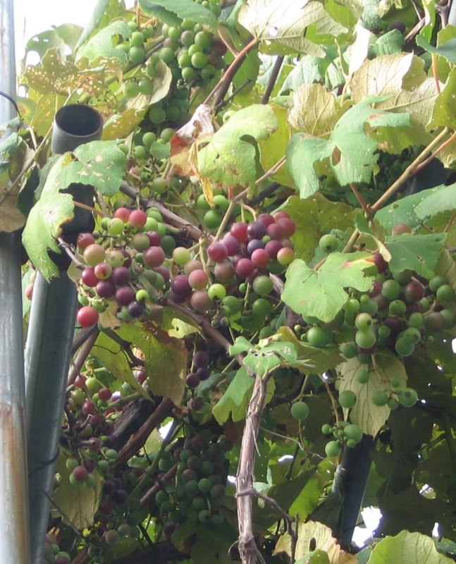 f:id:atarou:20120830054238j:image