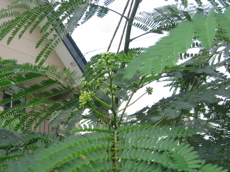f:id:atarou:20120830061754j:image