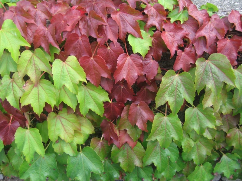 f:id:atarou:20120830061756j:image