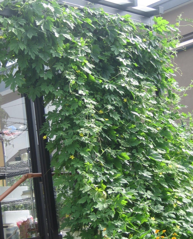 f:id:atarou:20120830061757j:image