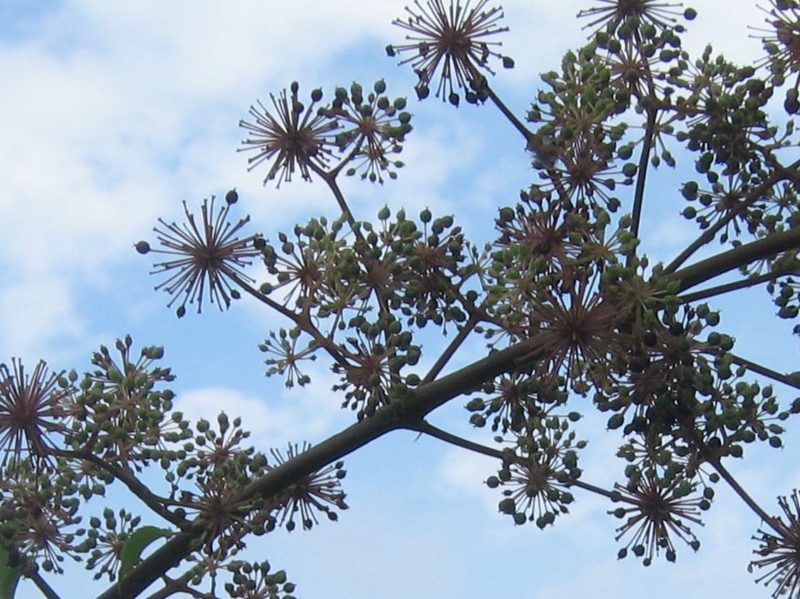 f:id:atarou:20120830065248j:image