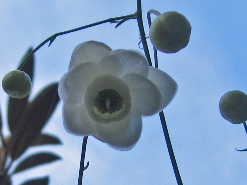 f:id:atarou:20120831063914j:image