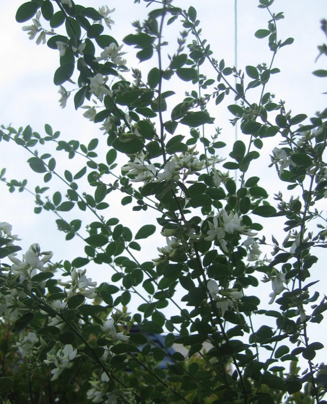 f:id:atarou:20120901053505j:image