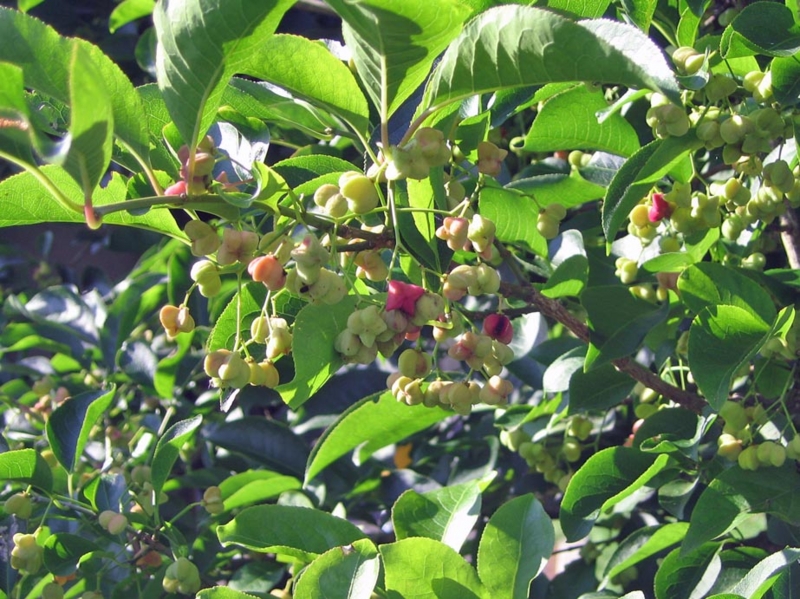 f:id:atarou:20120914055448j:image