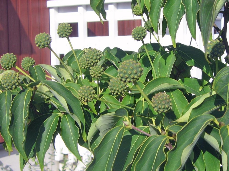 f:id:atarou:20120914061158j:image