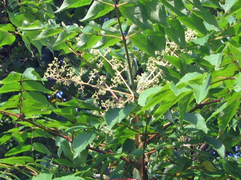 f:id:atarou:20120914062540j:image