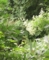 20120918070027