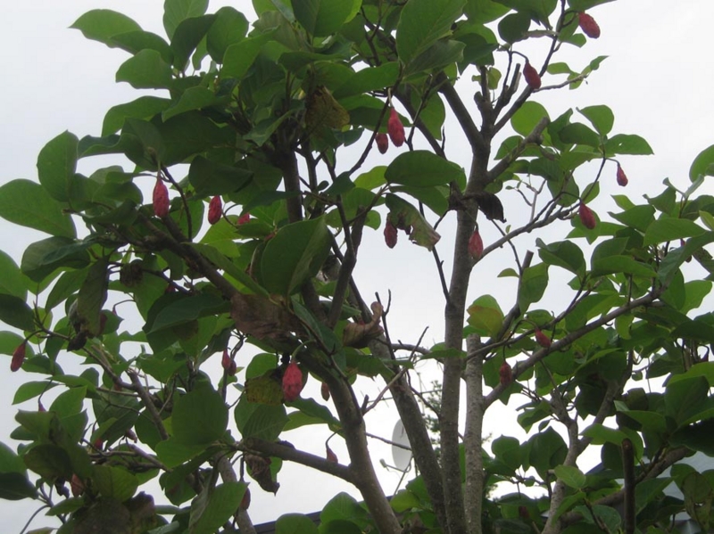 f:id:atarou:20121001063014j:image