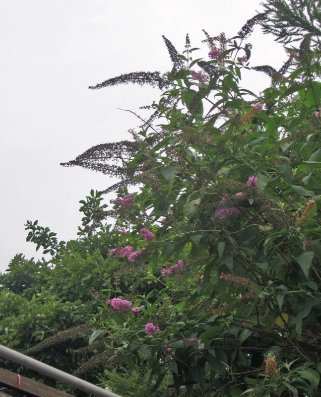 f:id:atarou:20121001063903j:image