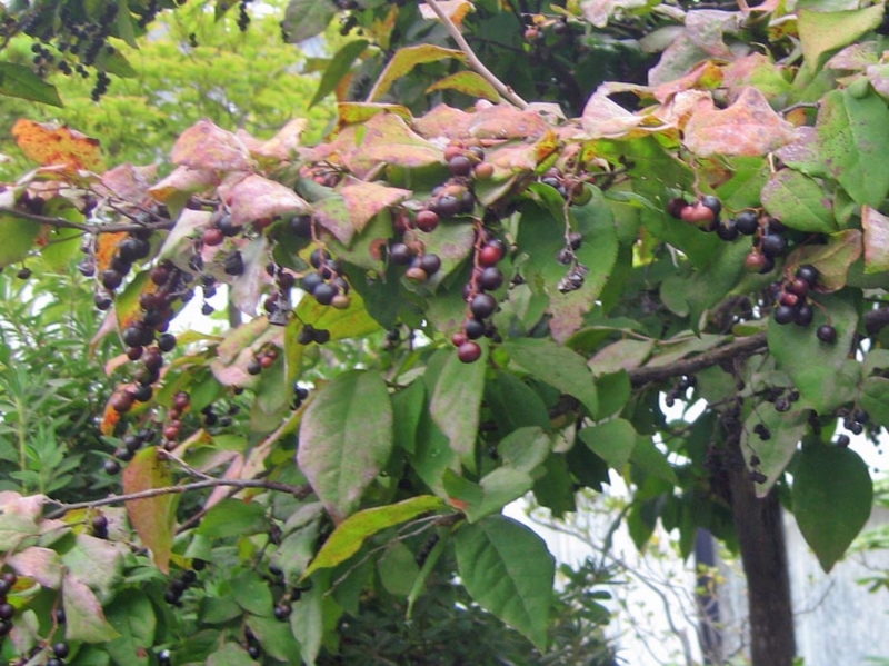 f:id:atarou:20121001064954j:image