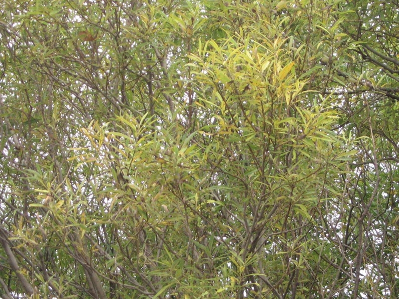 f:id:atarou:20121001064956j:image