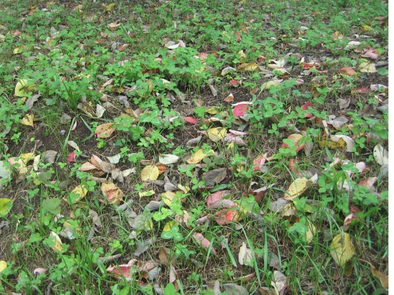 f:id:atarou:20121001065610j:image