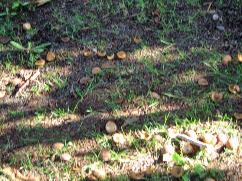 f:id:atarou:20121003062716j:image