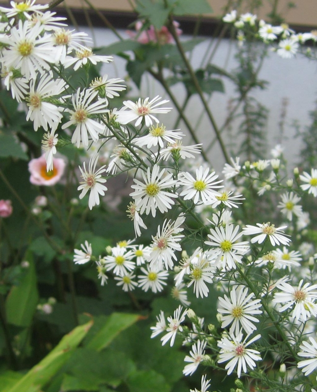 f:id:atarou:20121004064118j:image