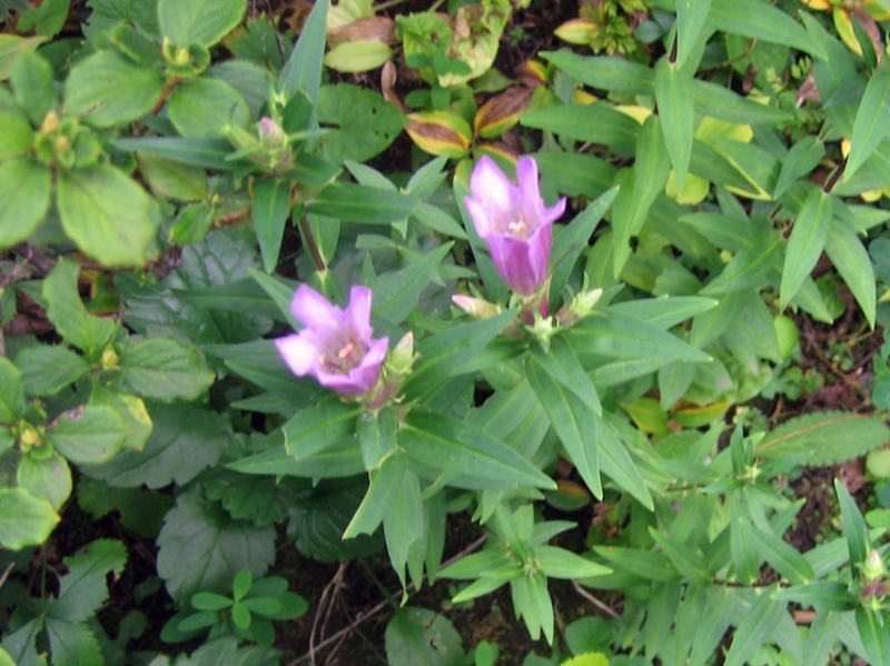 f:id:atarou:20121004064122j:image