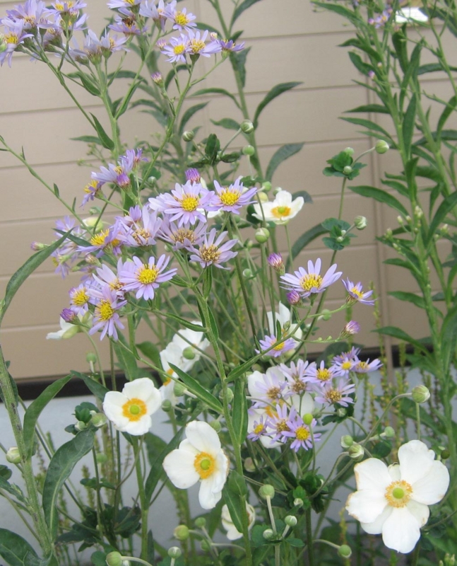f:id:atarou:20121007063217j:image f:id:atarou:20121007063217j:image