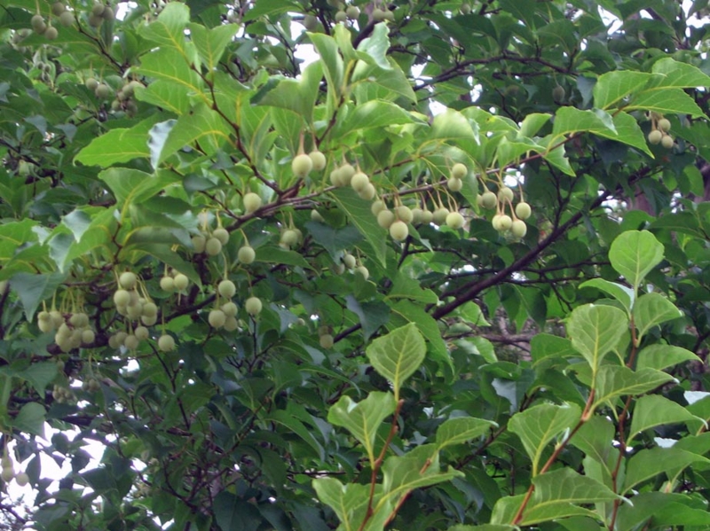 f:id:atarou:20121007064910j:image f:id:atarou:20121007064910j:image